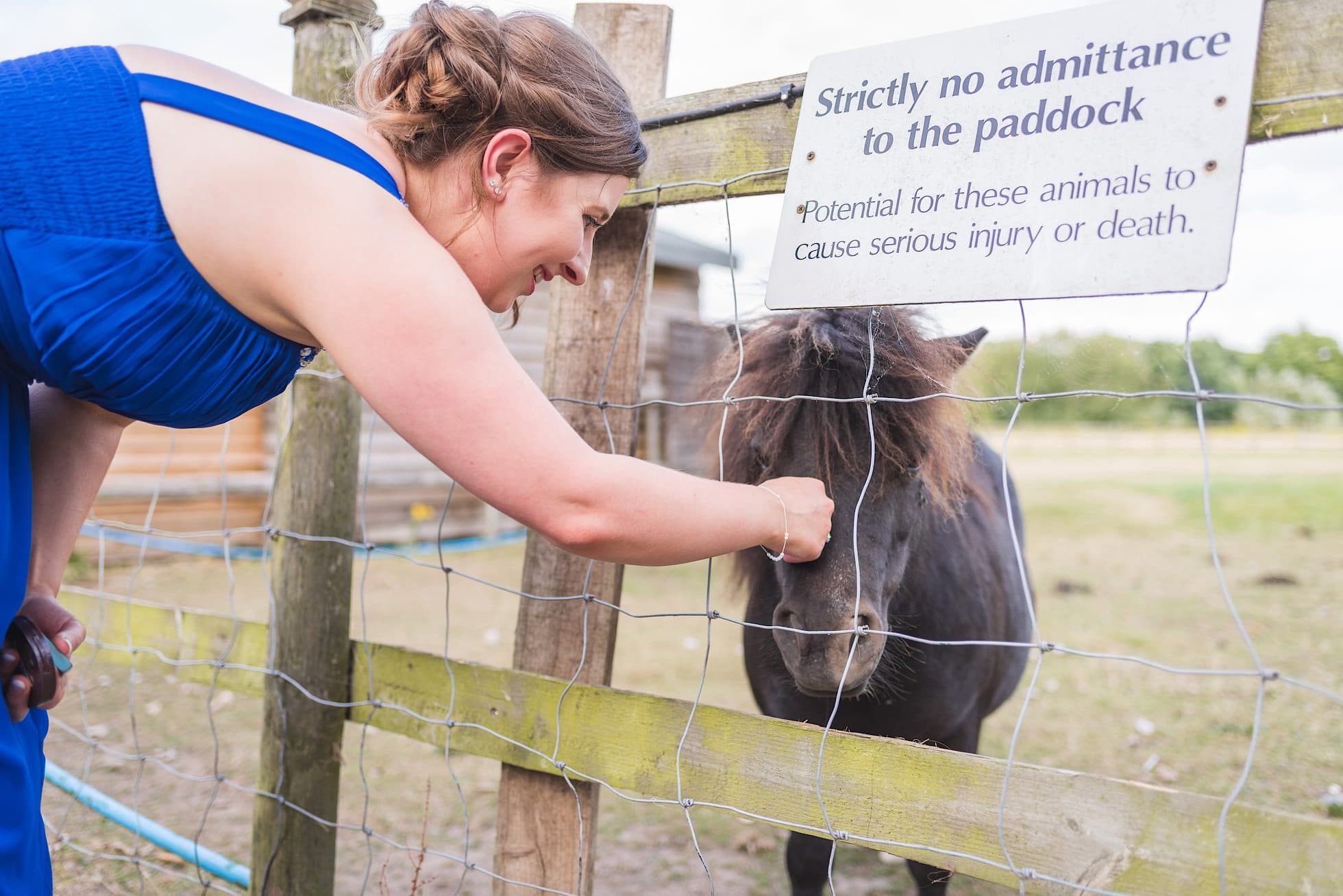 Dangerous ponies - beware!