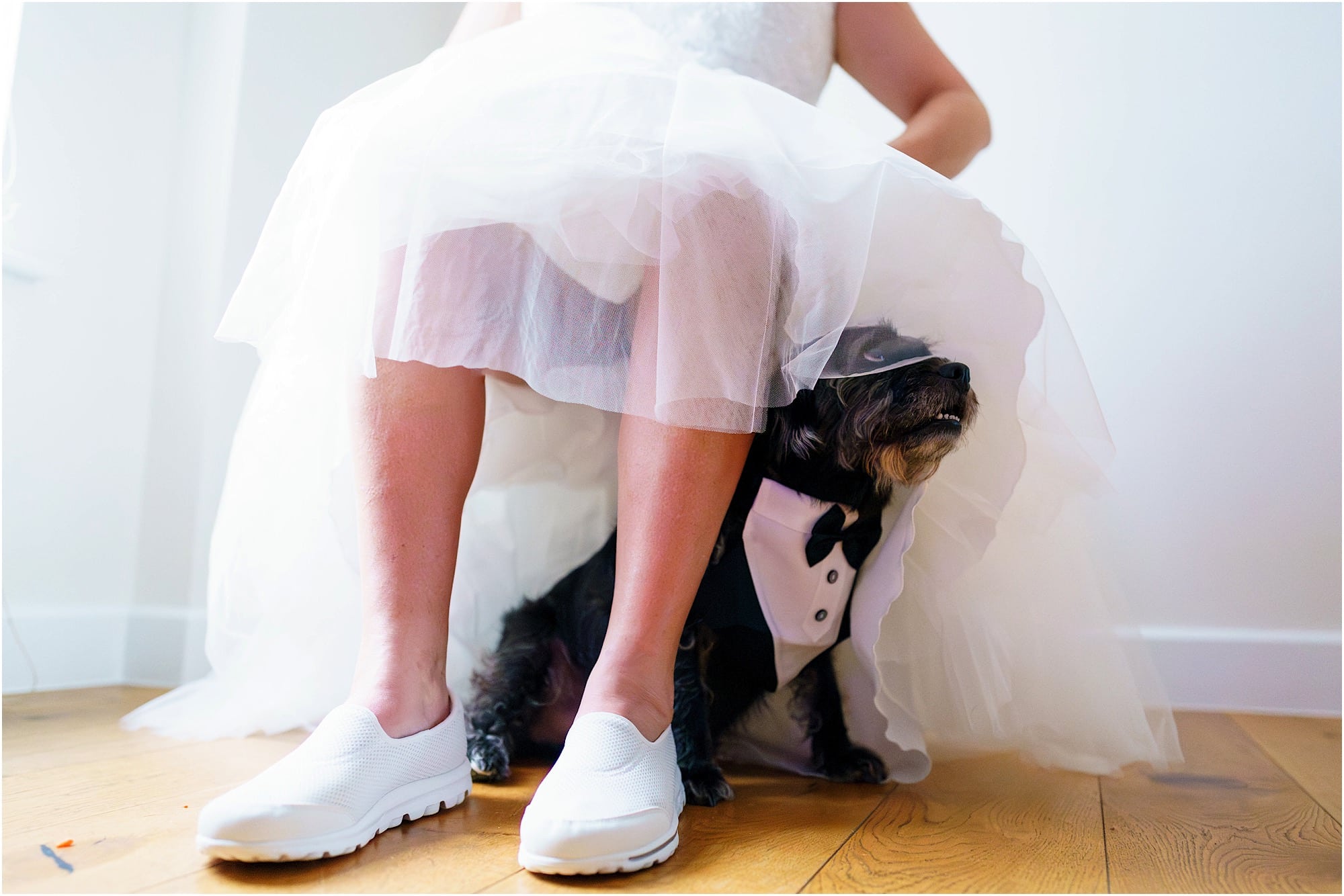 dog under wedding dress