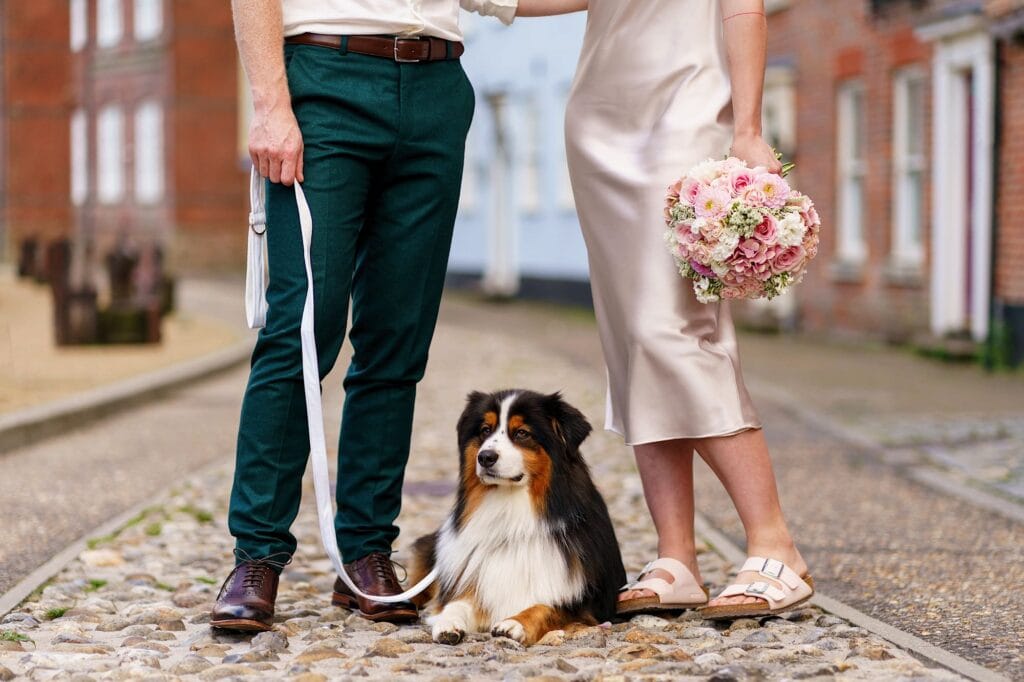 Cute dog laying down at feet of wedding couple