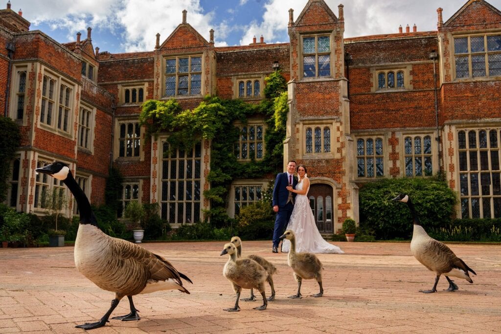 Funny wedding photo of Canadian geese