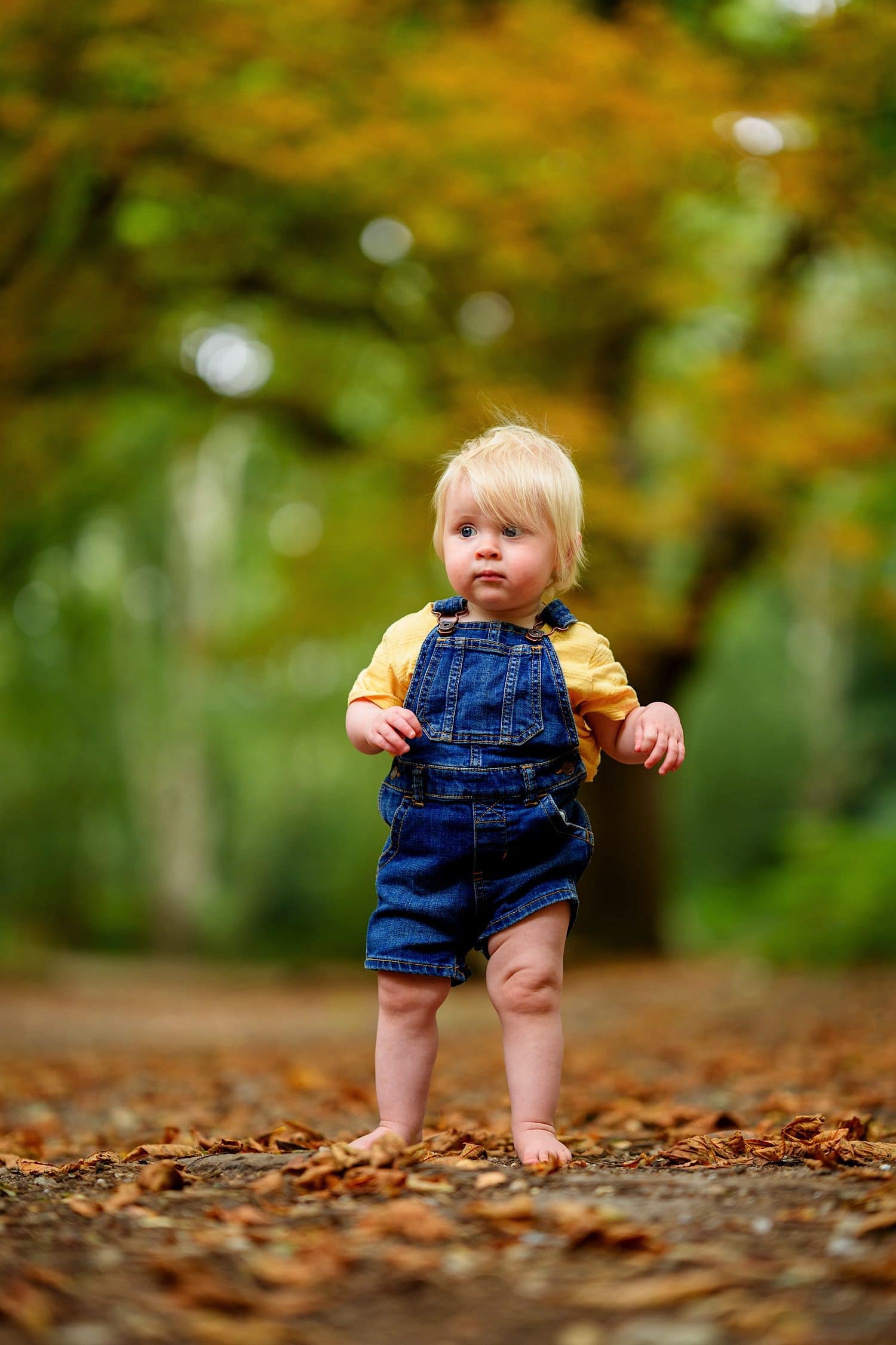 Toddler professional photo Mousehold Heath Norwich