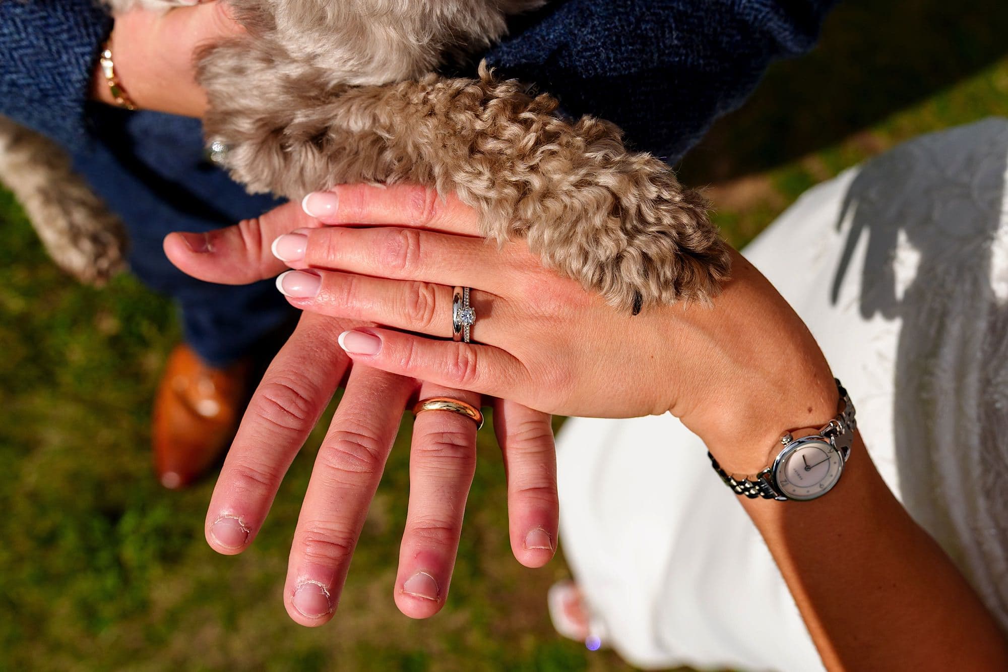 Rings and dog paw